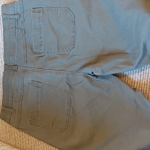 Democracy Pants - Picture 5 of 7